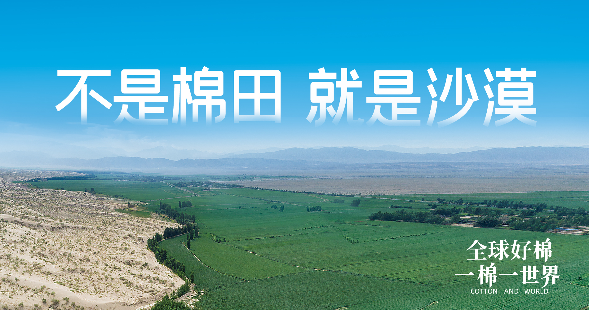 PG���ӹ������Ŷ��»��Ԫ������